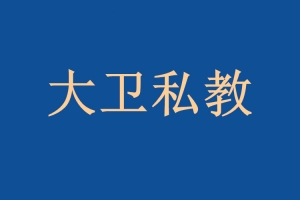 男哥情感 大卫《12000一对一私教》
